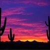 arizonathreads